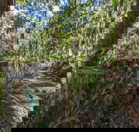 Thylogale Track - Tourism Search