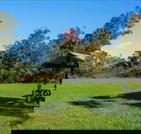 Tunks Hill picnic area - Tourism Search