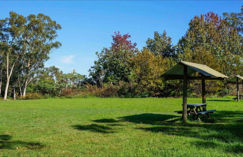 Tunks Hill Picnic Area - Tourism Search 0