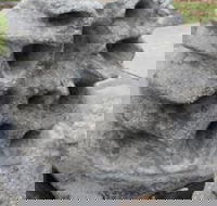 Windara Reef - Tourism Search