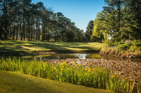 Yowani Country Club Incorporated - Tourism Search 2