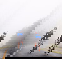 7 Peaks Ride - Lake Mountain - Tourism Search