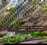 Armadale - Tourism Search