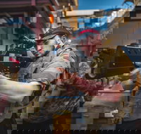 Battlezone Playlive - Tourism Search