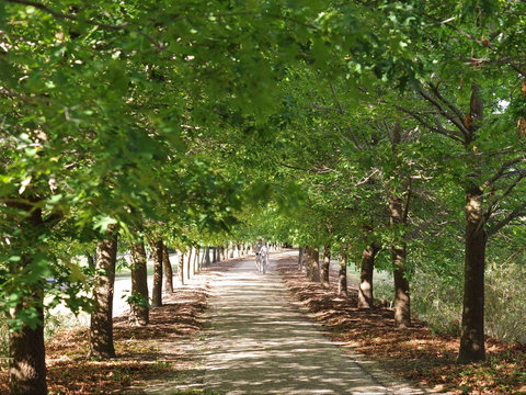 Beechworth To Everton Station 16km - Tourism Search 1