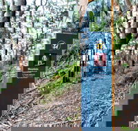 Bulahdelah Mountain Aboriginal Place - Tourism Search