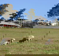 Calmsley Hill City Farm - Tourism Search