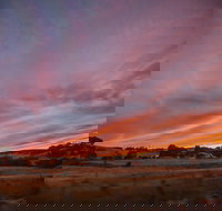 Cape Jervis - Tourism Search