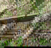 Daisy Hill Koala Centre - Tourism Search