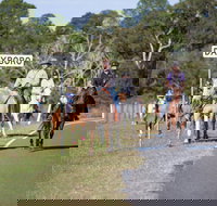 Dayboro - Tourism Search