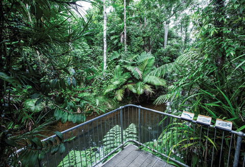 Djiru National Park - Tourism Search 1