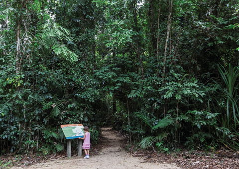 Djiru National Park - Tourism Search 2