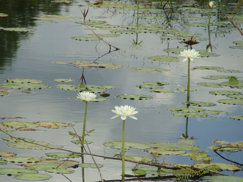 Djukbinj National Park - Tourism Search 1
