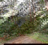 End Peak walking track - Tourism Search