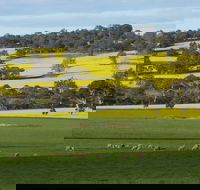 Fini Olives - Tourism Search