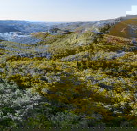 Gold Coast Hinterland Great Walk - Tourism Search