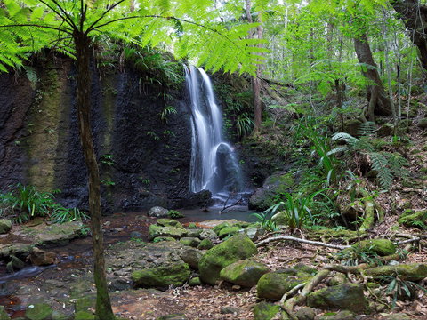 Gold Coast Hinterland Great Walk - Tourism Search 1