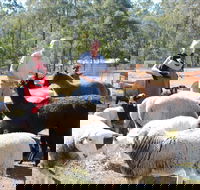 Haigslea EWE Nique Hobby Farm - Tourism Search