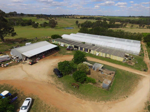 Hill-Lock Orchard - Tourism Search 0