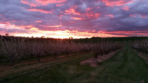 Hill-Lock Orchard - Tourism Search 2