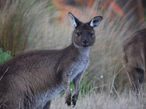 Iron Stone Hill Hike - Tourism Search 1