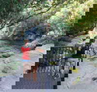 Josephine Falls walking track Wooroonooran National Park - Tourism Search