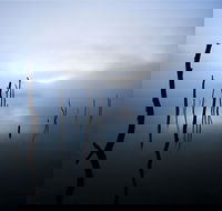 Jounama Creek Walking Track - Tourism Search