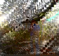 Kinglake National Park - Tourism Search