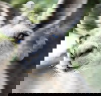 Lochern National Park - Tourism Search