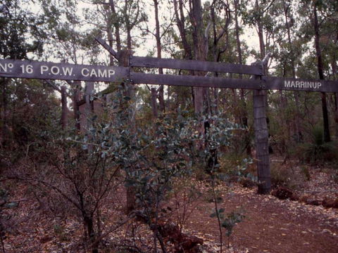Marrinup Trail, Dwellingup - Tourism Search 0