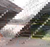 Martin Bend Wetland and Walking Trail - Tourism Search