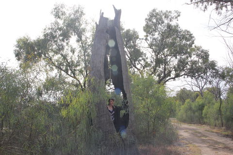 Martin Bend Wetland And Walking Trail - Tourism Search 1
