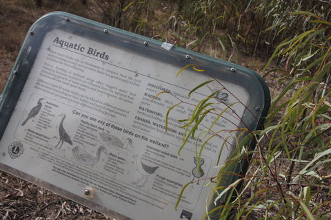 Martin Bend Wetland And Walking Trail - Tourism Search 2