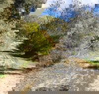 Naracoorte North Nature Park - Tourism Search