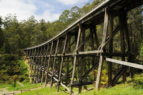 Noojee Trestle Bridge - Tourism Search 0