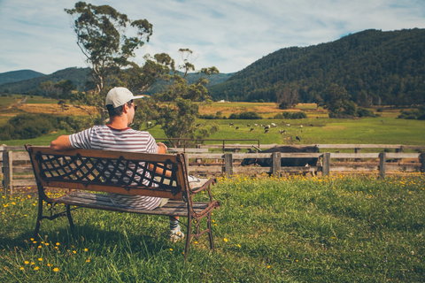 North - North East - Tourism Search 0