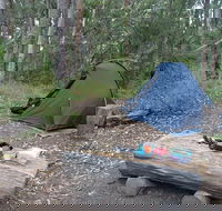 Northbrook Mountain Bush Camp - Tourism Search