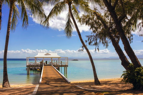 Orpheus Island - Tourism Search 1