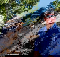 Outback Stockman's Show - Tourism Search