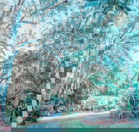 Phillips Gallery - Tourism Search