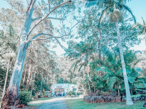 Phillips Gallery - Tourism Search 0