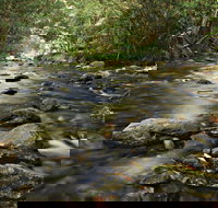 Plateau Circuit Loop Trail - Tourism Search