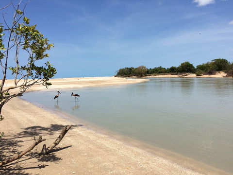 Pormpuraaw - Tourism Search 0