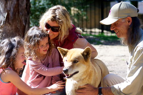 Potoroo Palace Native Animal Sanctuary - Tourism Search 0