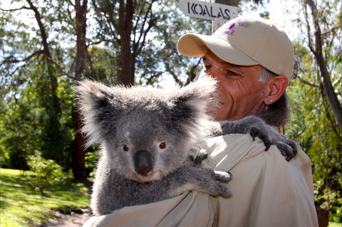 Potoroo Palace Native Animal Sanctuary - Tourism Search 2