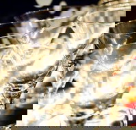 Rushworth - Tourism Search