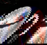 Scienceworks - Tourism Search