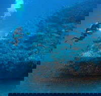 The Zanoni Wreck - Tourism Search