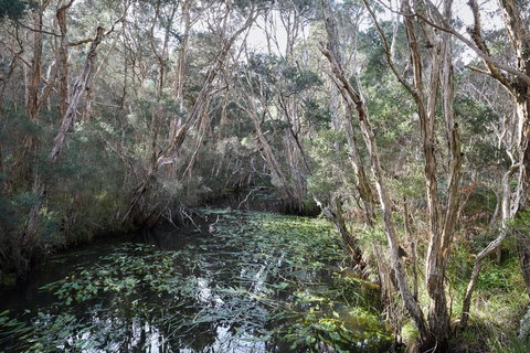 The Briars Park Walking Trails - Tourism Search 2