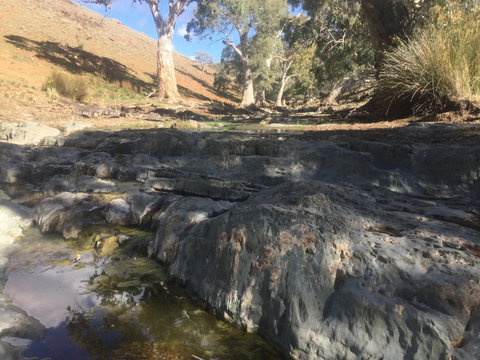 Three Creeks Station -Arkaroona Creek Walk - Tourism Search 0